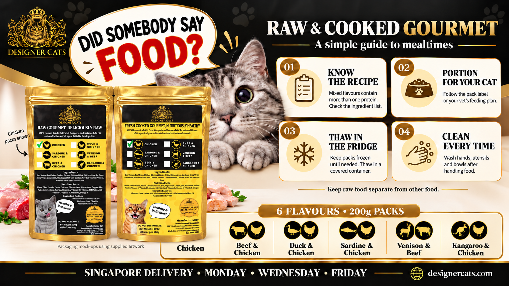 Designer Cats Gourmet Cat Food — kitten video by Designer Cats