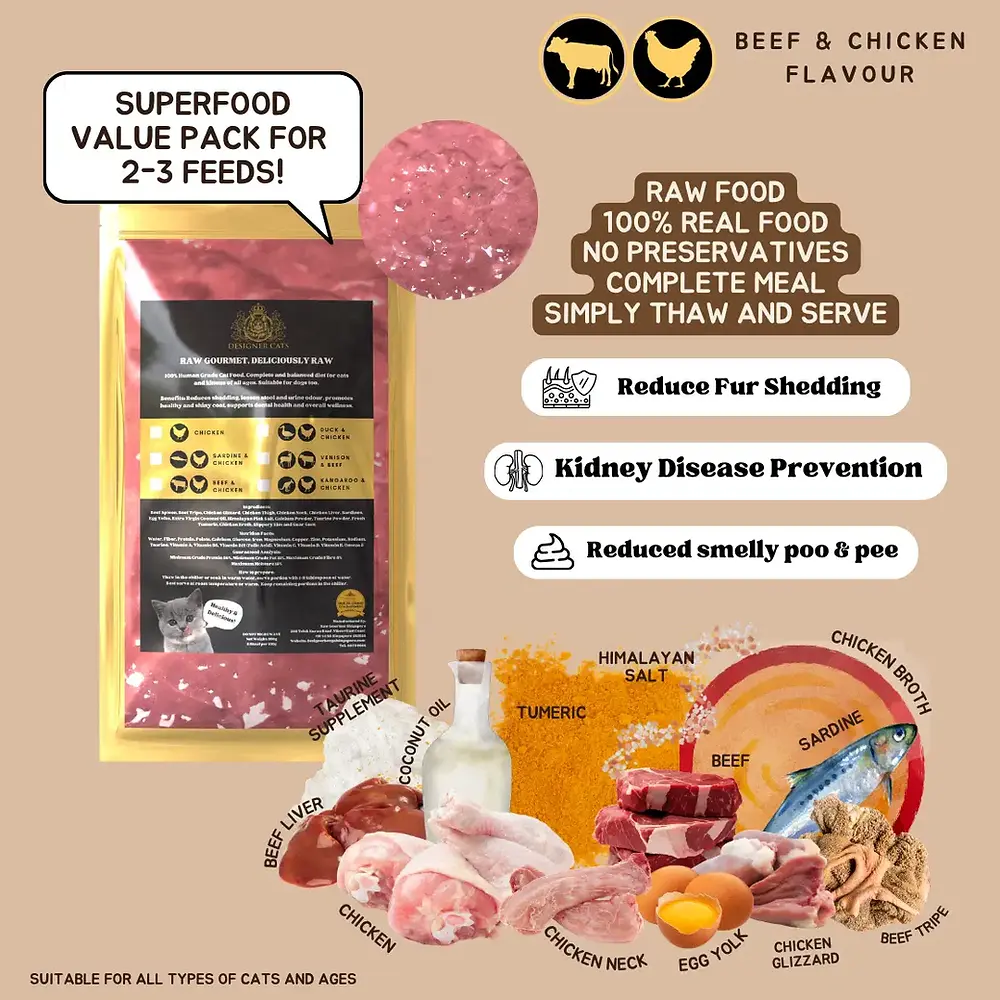 Raw cat food Singapore — Designer Cats Raw Gourmet beef and chicken 200gm pack