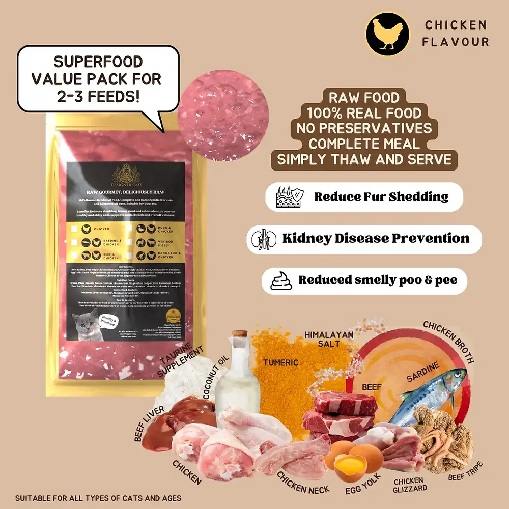 Raw cat food Singapore — Designer Cats Raw Gourmet chicken 200gm pack